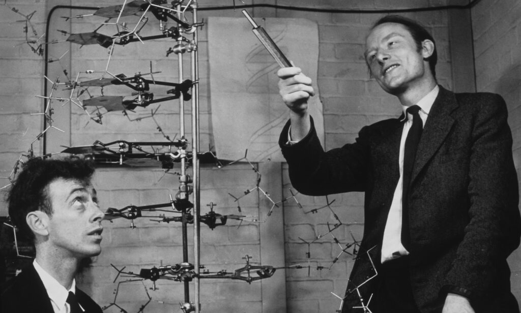 Se descubre la estructura qu mica del adn historia hoy