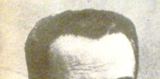 Misael Bello, autor en Historia Hoy