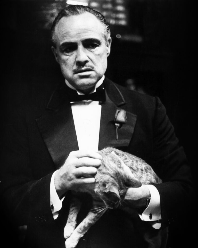 Quince películas con mafiosos
