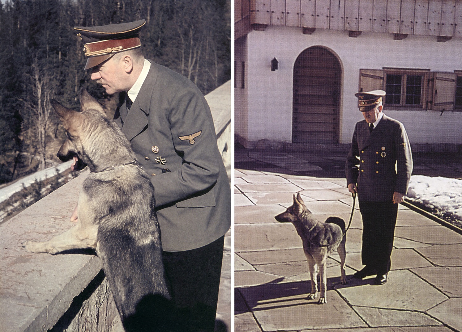 La Cruel Muerte De Blondi, La Perra De Adolf Hitler - Historia Hoy