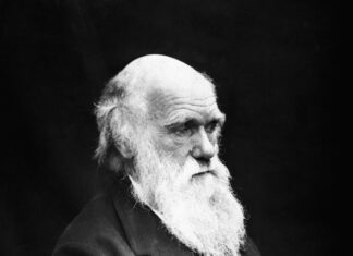 Charles Darwin, el origen de la especies y los problemas de descender del mono