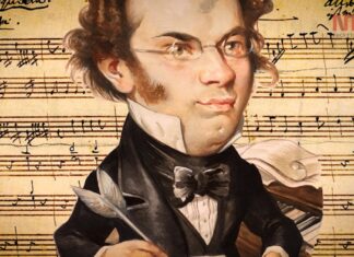 Schubert: La observación de una vida inconclusa